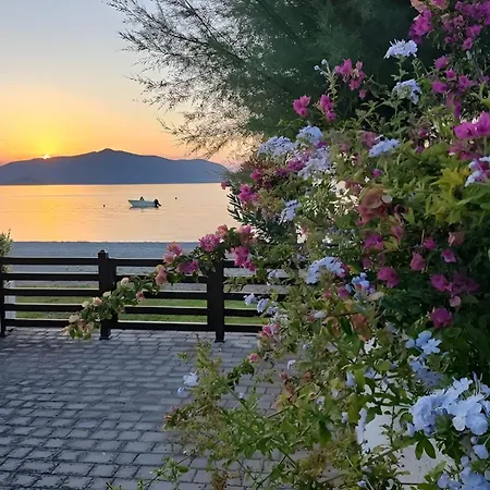 Seafront Christina Villa